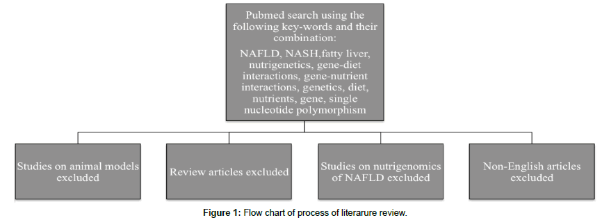 nutrition-metabolism-Flow-chart