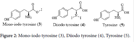 nutrition-metabolism-Mono-iodo