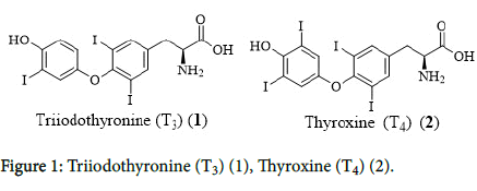 nutrition-metabolism-Triiodothyronine