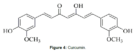 nutrition-metabolism-curcumin