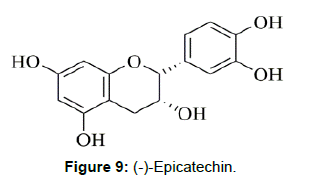 nutrition-metabolism-epicatechin