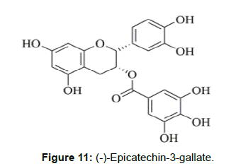 nutrition-metabolism-epicatechin-gallate