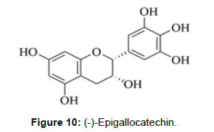 nutrition-metabolism-epigallocatechin
