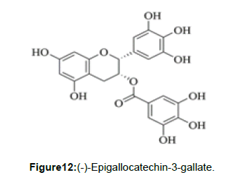 nutrition-metabolism-epigallocatechin-gallate