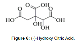 nutrition-metabolism-hydroxy-citric-acid