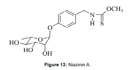 nutrition-metabolism-niazininA