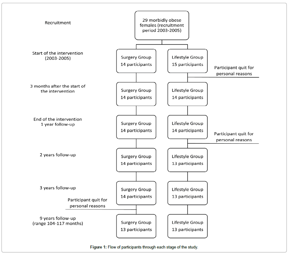 obesity-therapeutics-participants-stage