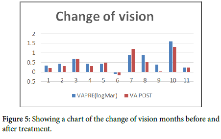 ophthalmic-pathology-chart