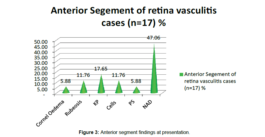 ophthalmic-pathology-segment-findings