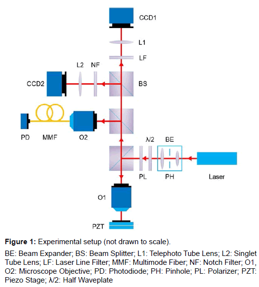 optics-photonics-experimental-setup-1-102-g001
