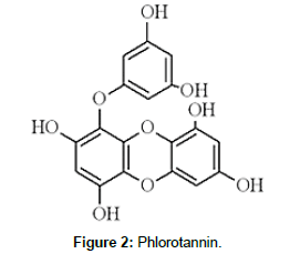 pharmaceutical-sciences-Phlorotannin