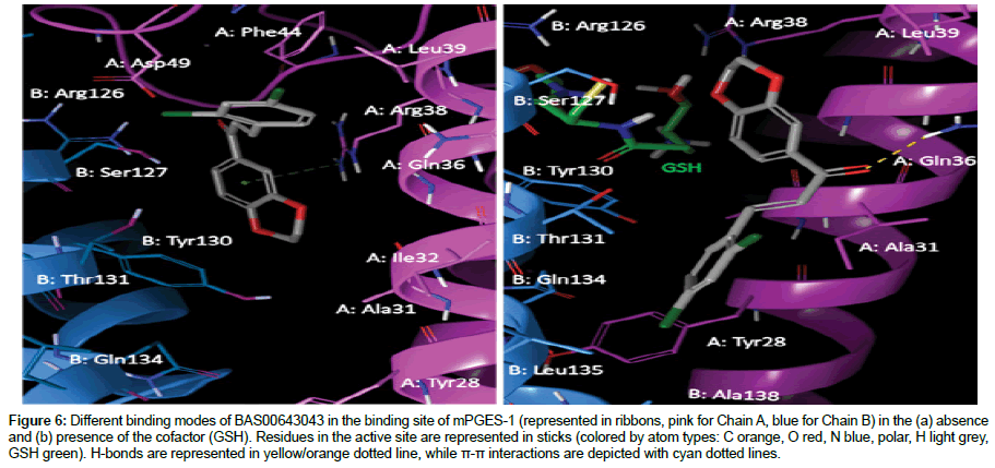 pharmaceutical-sciences-active-site