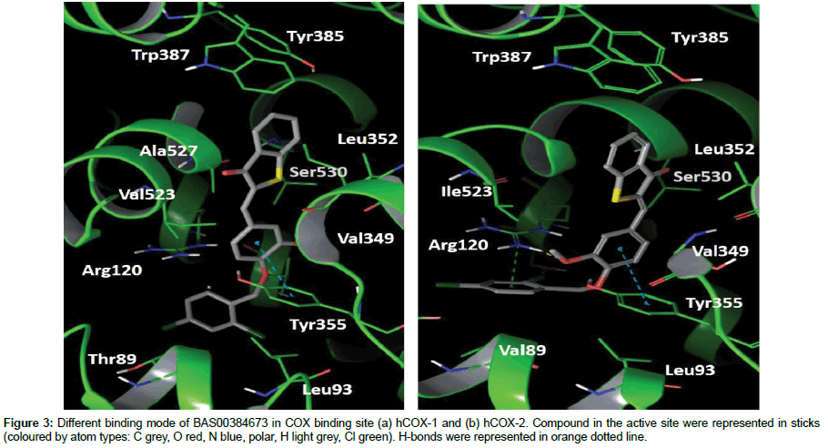 pharmaceutical-sciences-binding-mode