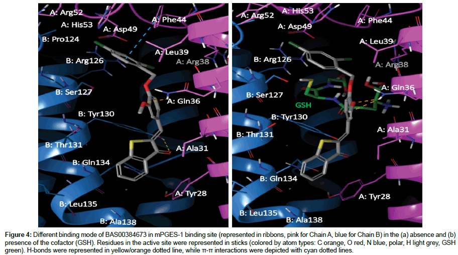 pharmaceutical-sciences-binding-site