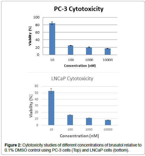 pharmaceutics-drug-Cytotoxicity-structure