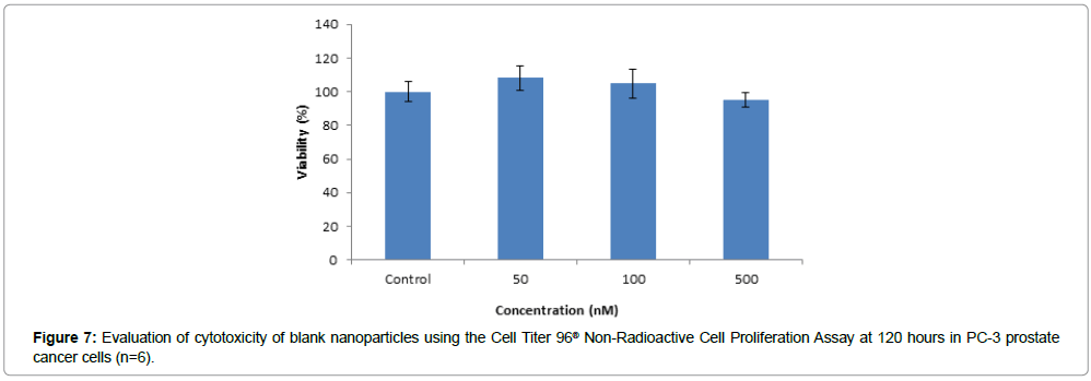 pharmaceutics-drug-blank-nanoparticles