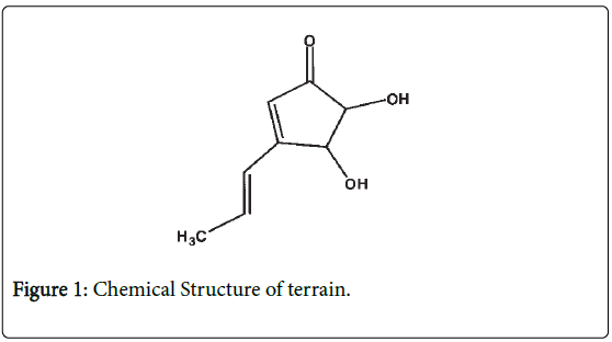 pharmaceutics-drug-delivery-research-Chemical