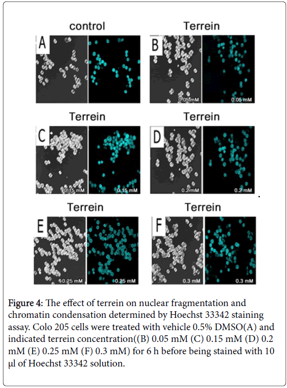 pharmaceutics-drug-delivery-research-staining