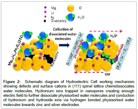 physics-research-applications-Cell-working