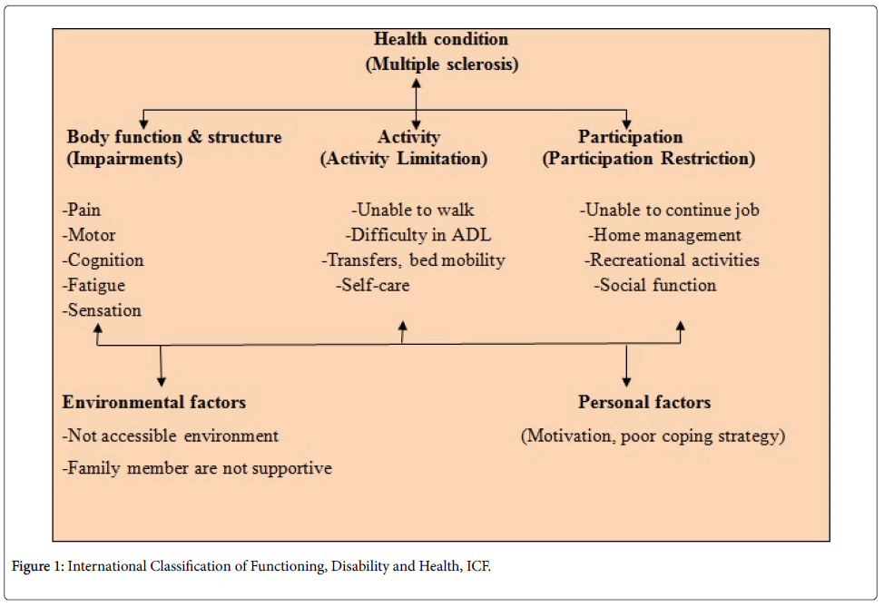 physiotherapy-rehabilitation-International-Classification