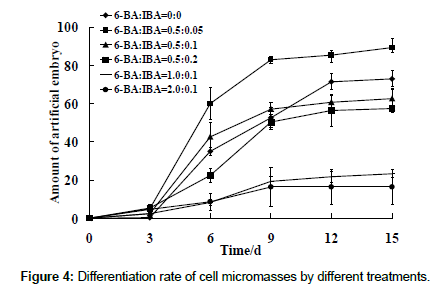 plant-physiology-Differentiation-rate