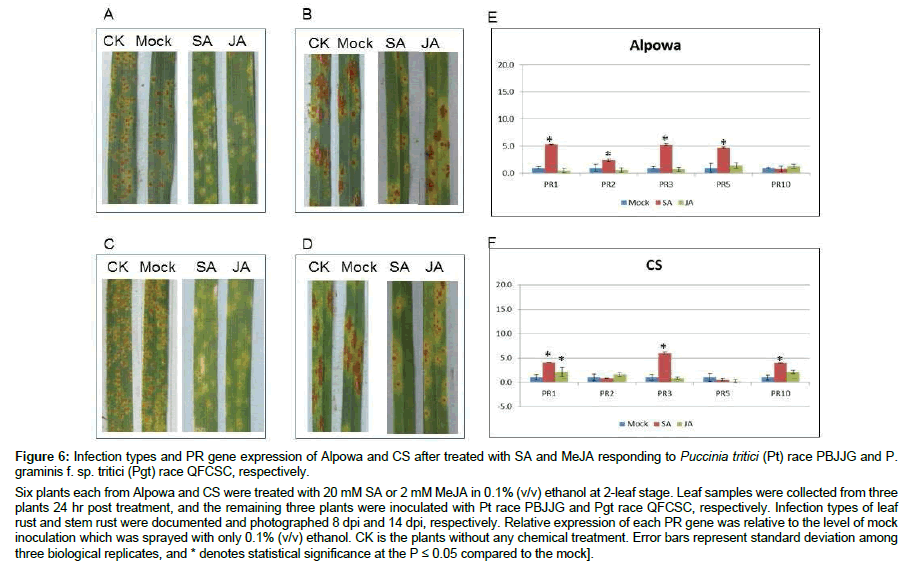 plant-physiology-Infection-types