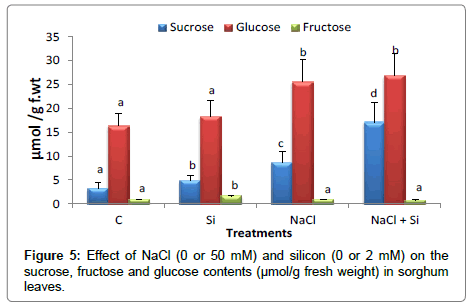 plant-physiology-glucose-contents