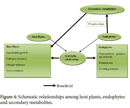 plant-physiology-host-plants