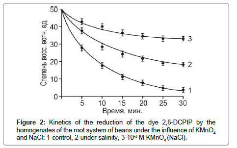 plant-physiology-pathology-beans-under plant-physiology-pathology-beans-under