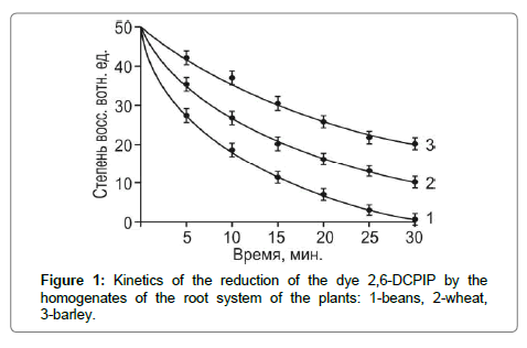 plant-physiology-pathology-root-system plant-physiology-pathology-root-system
