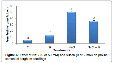 plant-physiology-proline-content