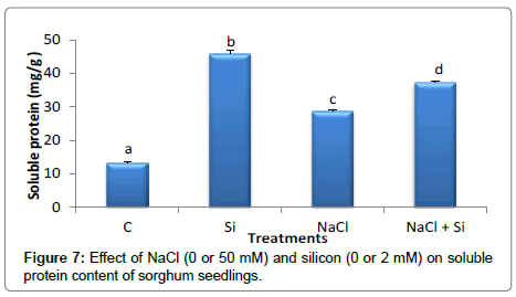 plant-physiology-protein-content