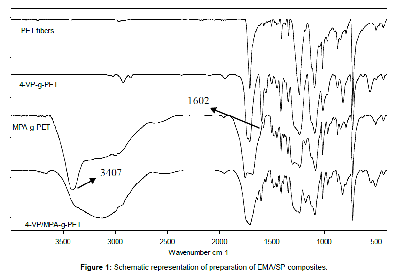 polymer-science-applications-EMA-SP-composites