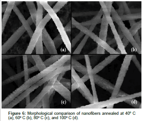 polymer-science-applications-Morphological