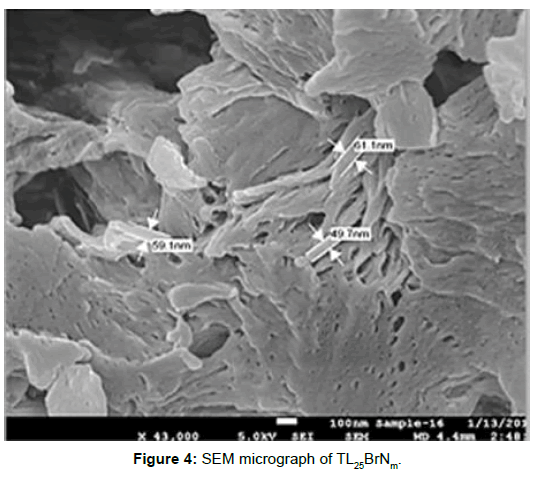polymer-science-applications-SEM-micrograph