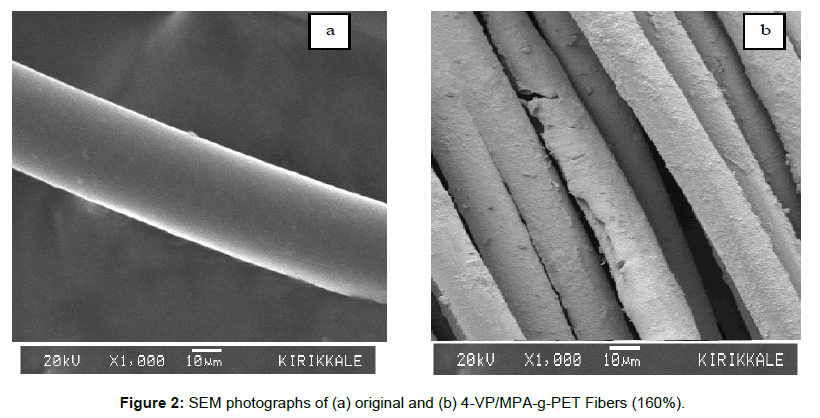 polymer-science-applications-SEM-photographs