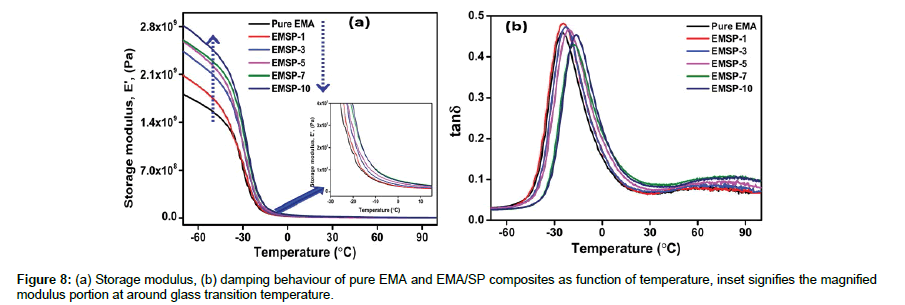 polymer-science-applications-Storage-modulus