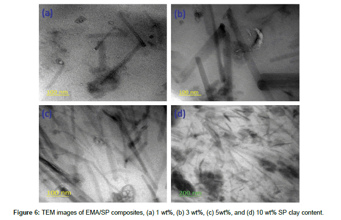 polymer-science-applications-TEM-images