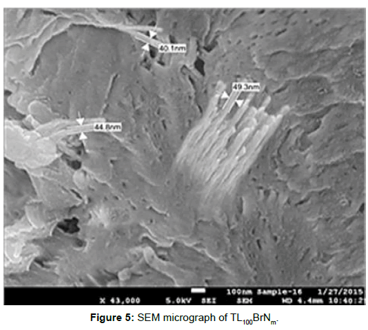 polymer-science-applications-micrograph