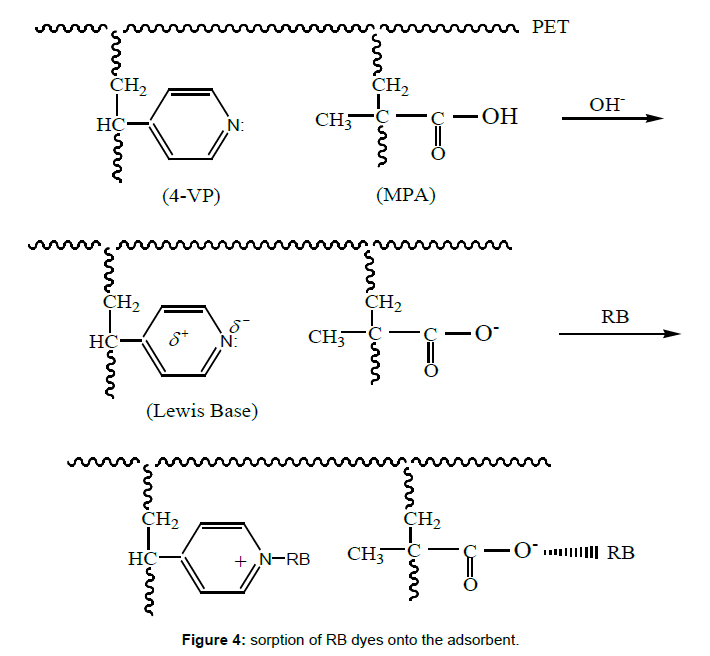 polymer-science-applications-sorption-RB-dyes