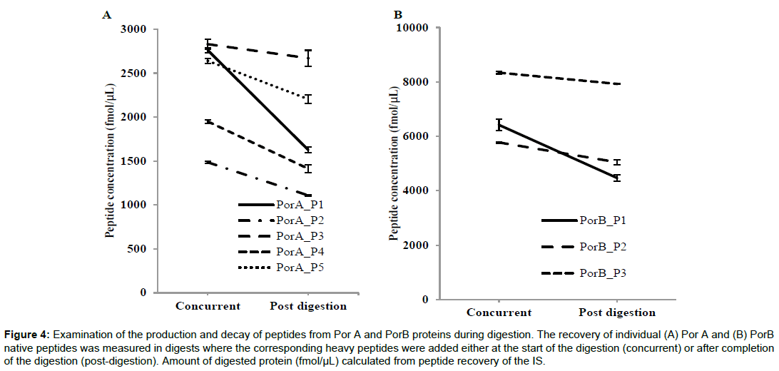 proteomics-enzymology-decay-peptides