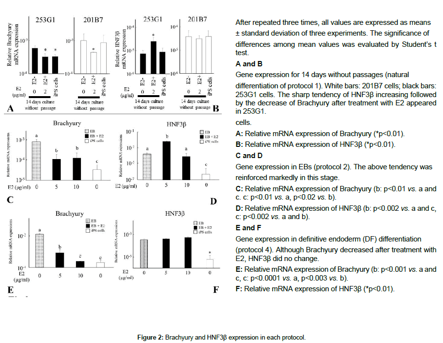 regenerative-medicine-Brachyury