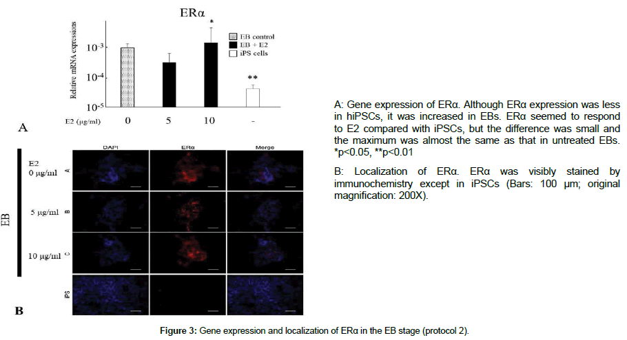 regenerative-medicine-Gene-expression