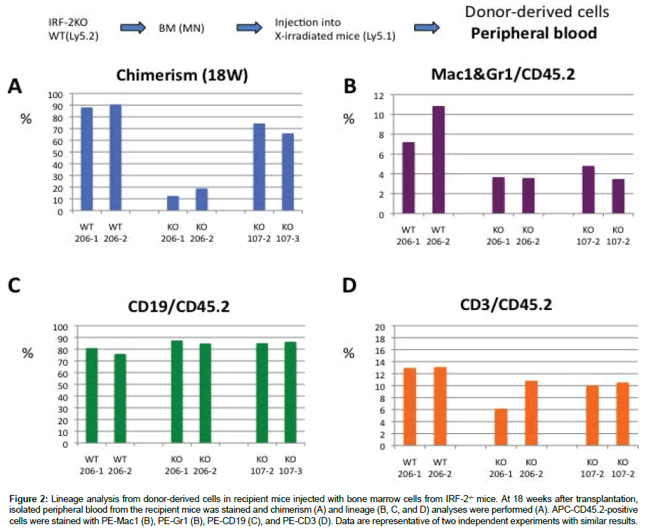 regenerative-medicine-Lineage-analysis