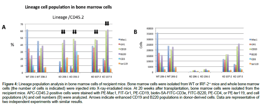 regenerative-medicine-Lineage-population