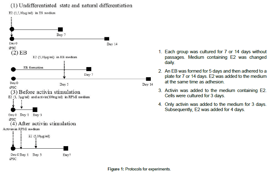 regenerative-medicine-Protocols