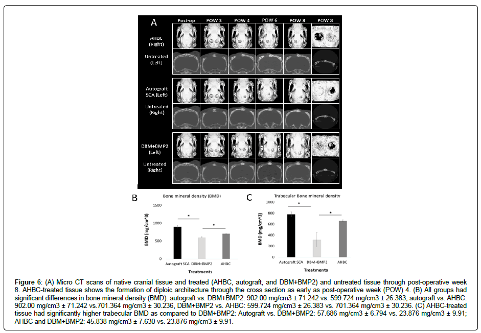 regenerative-medicine-cranial-tissue