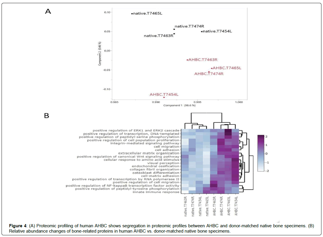 regenerative-medicine-proteomic-profiles