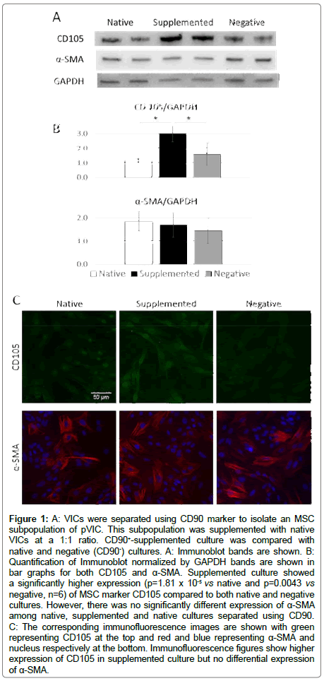 regenerative-medicine-subpopulation