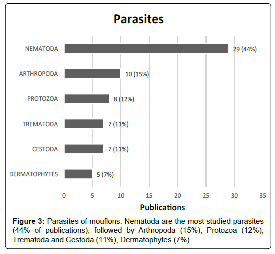 research-zoology-Parasites-mouflons